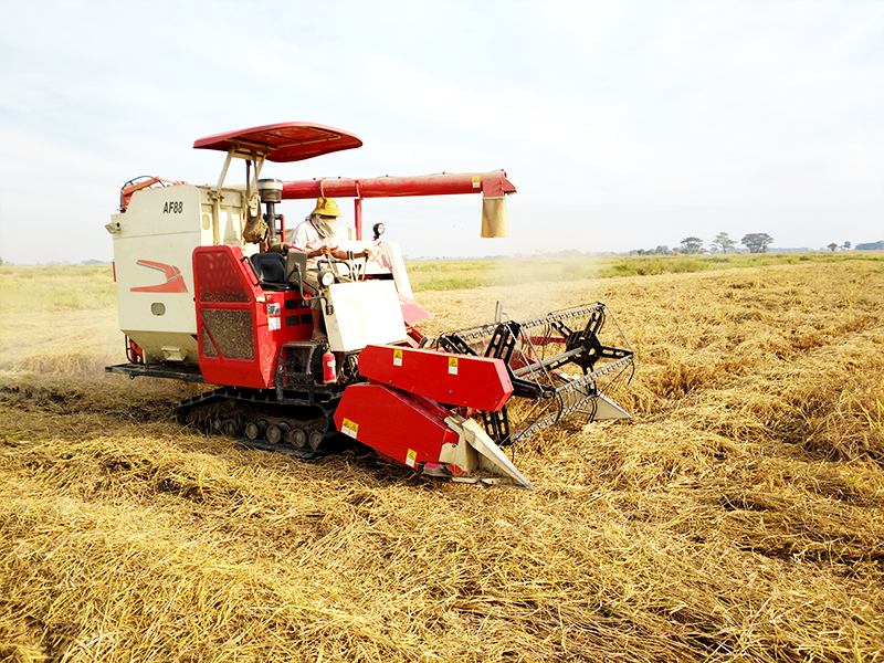 AF88 Crawler Combine Harvester Crawler Combine Harvester