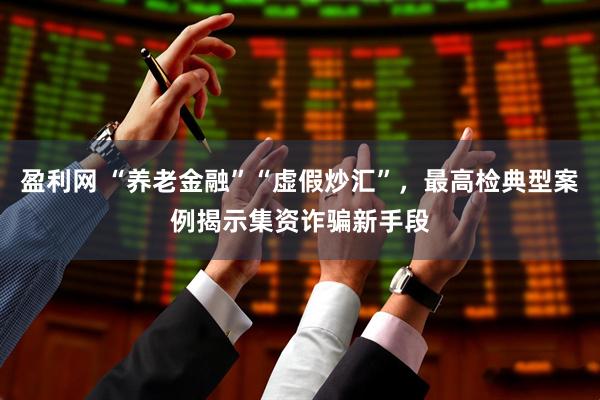 盈利网 “养老金融”“虚假炒汇”，最高检典型案例揭示集资诈骗新手段