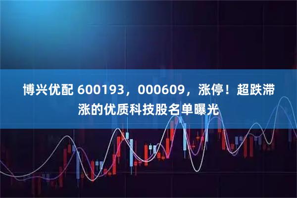 博兴优配 600193，000609，涨停！超跌滞涨的优质科技股名单曝光