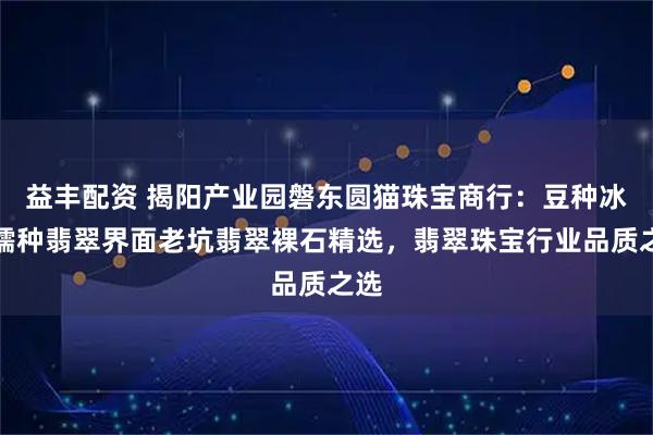 益丰配资 揭阳产业园磐东圆猫珠宝商行：豆种冰种糯种翡翠界面老坑翡翠裸石精选，翡翠珠宝行业品质之选