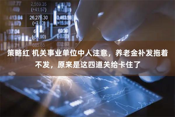 策略红 机关事业单位中人注意，养老金补发拖着不发，原来是这四道关给卡住了