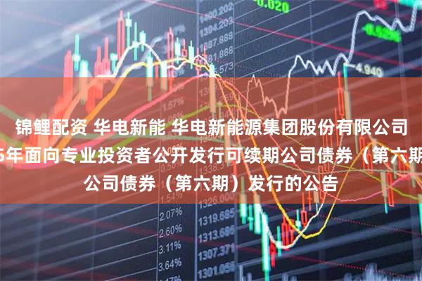 锦鲤配资 华电新能 华电新能源集团股份有限公司关于完成2025年面向专业投资者公开发行可续期公司债券（第六期）发行的公告