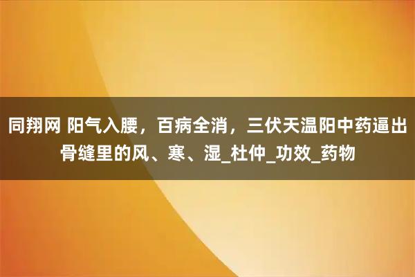 同翔网 阳气入腰，百病全消，三伏天温阳中药逼出骨缝里的风、寒、湿_杜仲_功效_药物