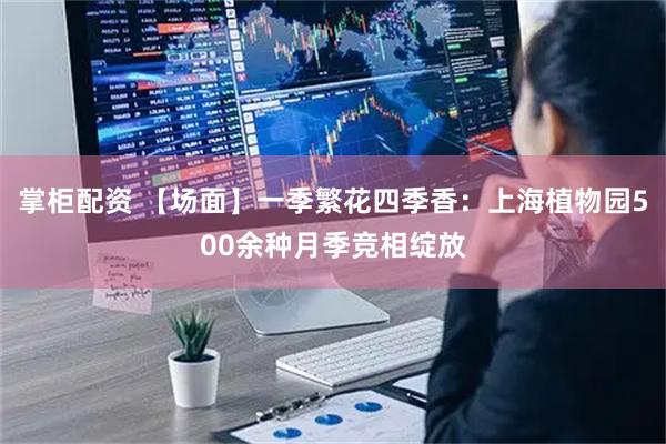 掌柜配资 【场面】一季繁花四季香：上海植物园500余种月季竞相绽放