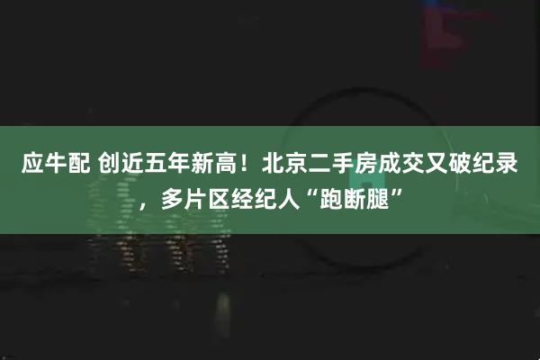 应牛配 创近五年新高！北京二手房成交又破纪录，多片区经纪人“跑断腿”